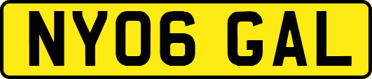 NY06GAL