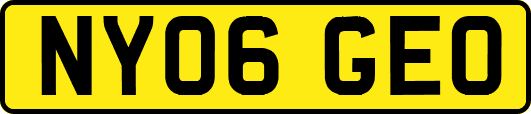 NY06GEO