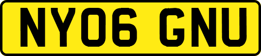 NY06GNU