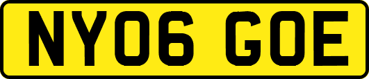 NY06GOE