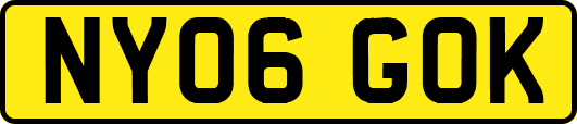 NY06GOK