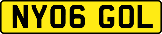 NY06GOL