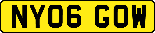 NY06GOW