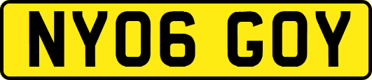 NY06GOY