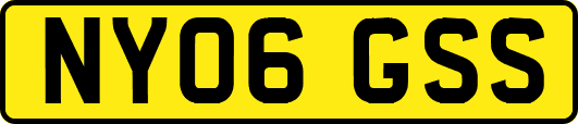 NY06GSS