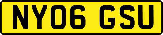 NY06GSU