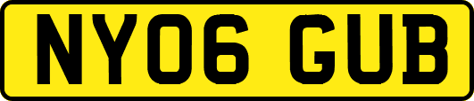 NY06GUB