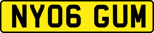 NY06GUM