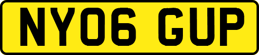NY06GUP
