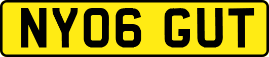 NY06GUT