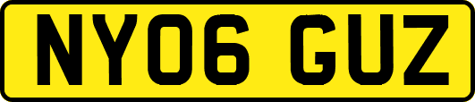 NY06GUZ