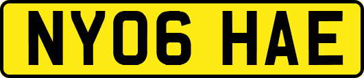 NY06HAE