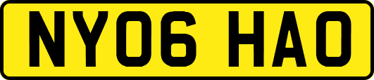 NY06HAO