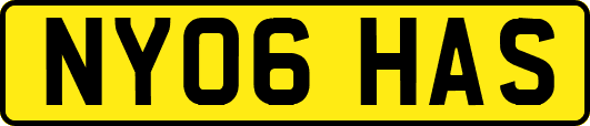 NY06HAS
