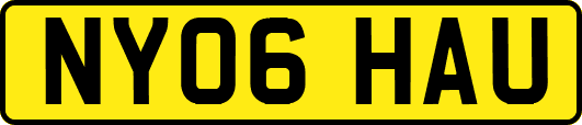 NY06HAU