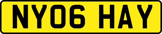 NY06HAY