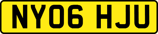 NY06HJU