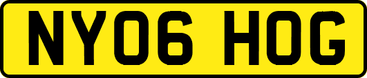 NY06HOG