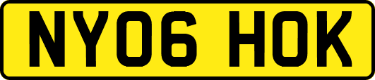 NY06HOK