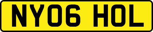 NY06HOL