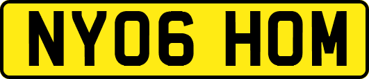 NY06HOM