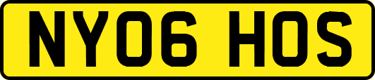 NY06HOS
