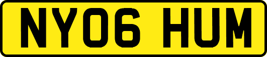 NY06HUM