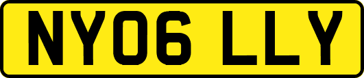 NY06LLY