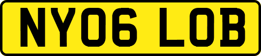 NY06LOB