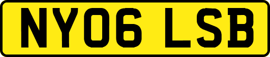 NY06LSB