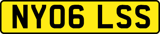 NY06LSS