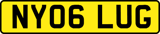 NY06LUG