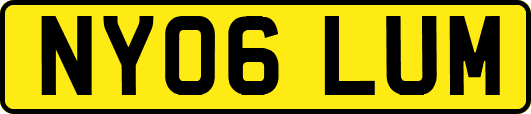 NY06LUM