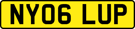 NY06LUP