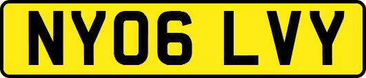 NY06LVY