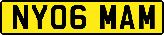 NY06MAM