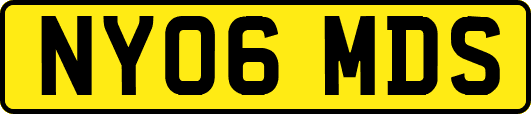 NY06MDS