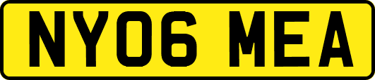 NY06MEA