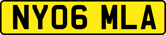 NY06MLA