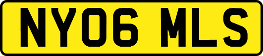 NY06MLS