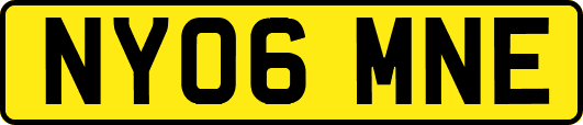 NY06MNE