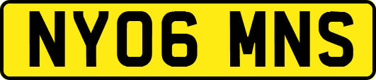 NY06MNS