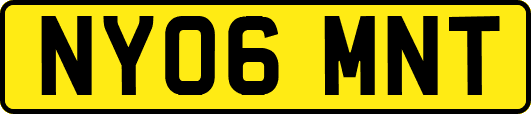 NY06MNT