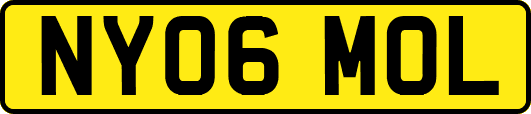 NY06MOL