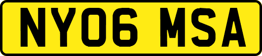 NY06MSA