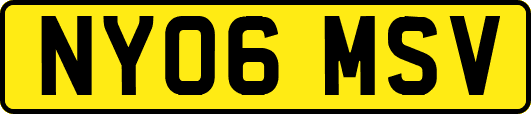 NY06MSV