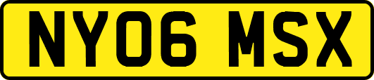NY06MSX