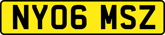 NY06MSZ