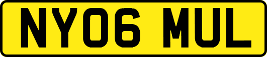 NY06MUL