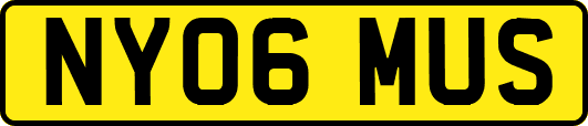 NY06MUS